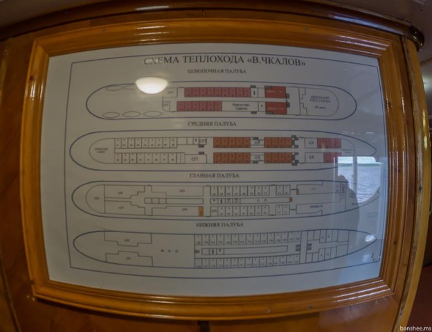 Расположение кают на теплоходе игорь фархутдинов схема