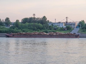 Петрозаводский лесопильно мебельный комбинат