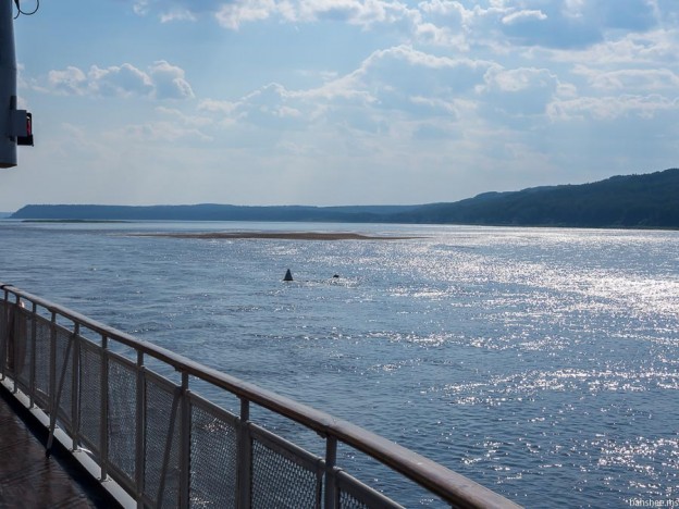 Енисей. Осиновская система | banshee.ms