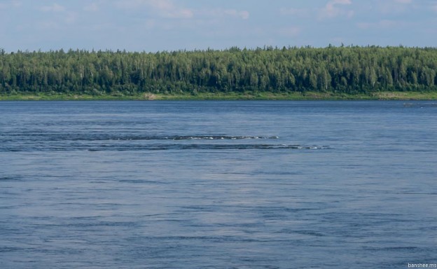Енисей. Осиновская система | banshee.ms