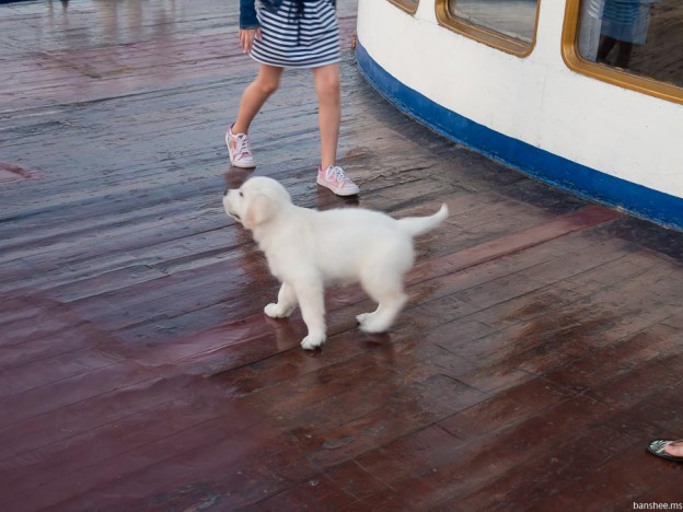 Енисей. Вечер, встреча с Матросовым | banshee.ms