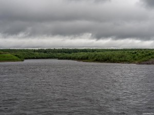 Бакены на волге