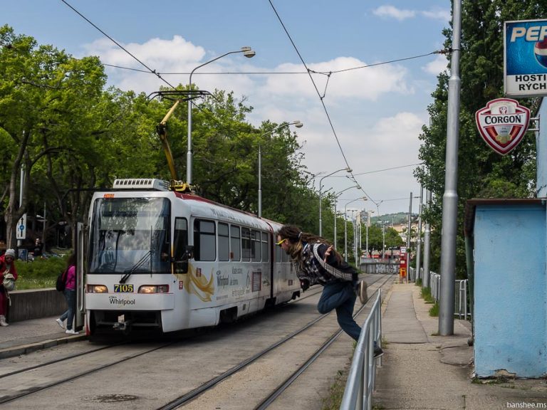 Киев братислава поезд