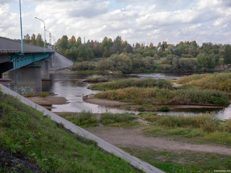 Гадюка в архангельской области фото с названиями