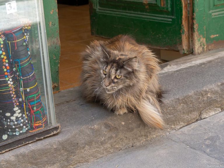 Майские праздники 2019, краткое содержание | banshee.ms